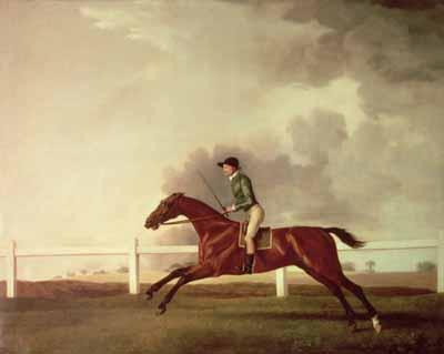 George Stubbs