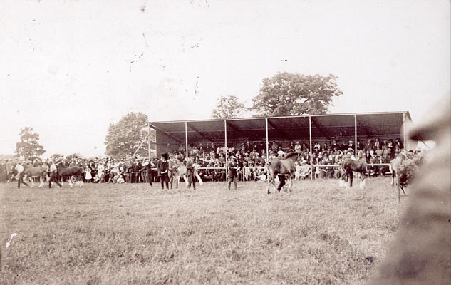 Bishop Wilton Show 1923