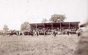 Postcard of Bishop Wilton Show 1923