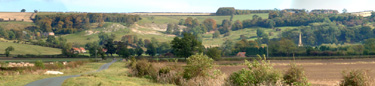 A view of Bishop Wilton from the West