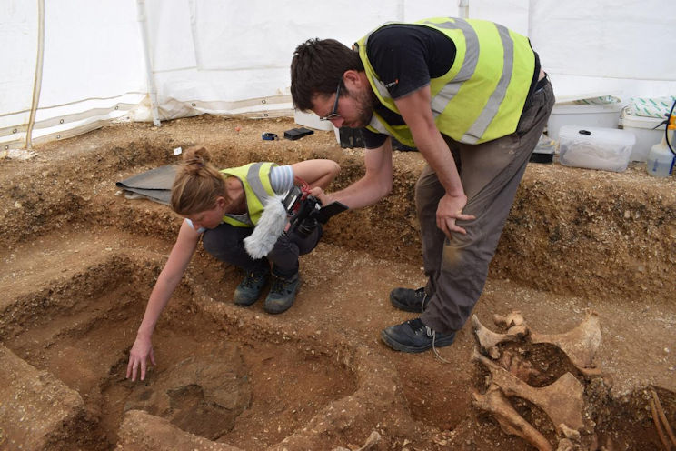 Pocklington Shield excavation